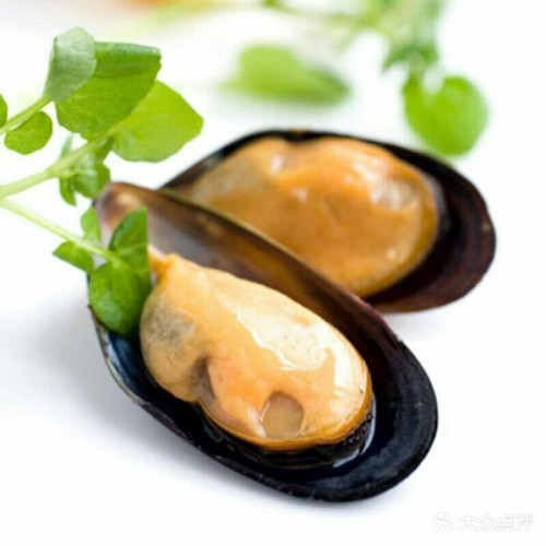 【梅杰】[蓝蓝金月湾]冻 蓝口贝8-10