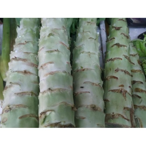 【全日鲜】莴笋头/去叶莴笋