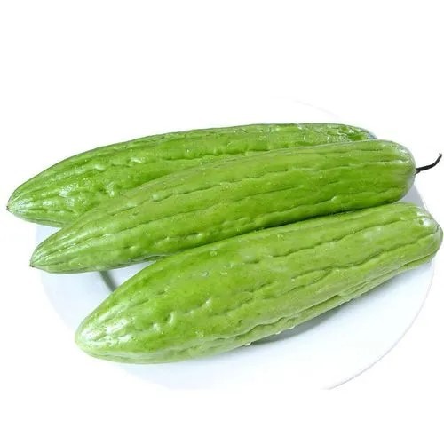 油苦瓜