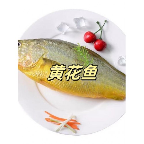 【润兴茂】冰鲜黄花鱼50-100g