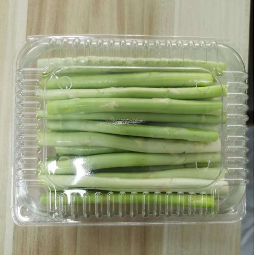 【众全】新鲜芦笋杆500g