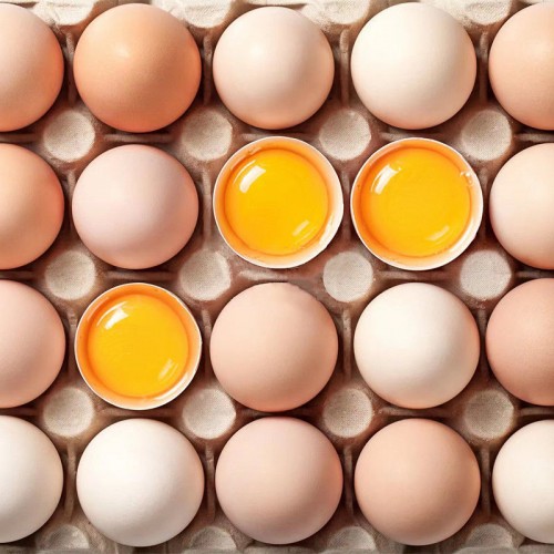 【金蛋谷】白壳/粉壳鲜鸡蛋 大码净重43±1斤