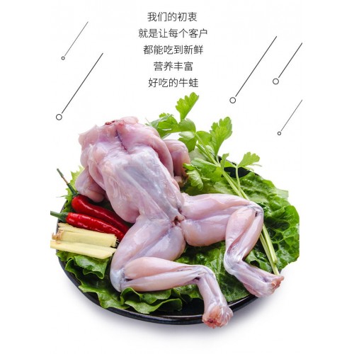 现杀 牛蛙肉 小（不去爪）