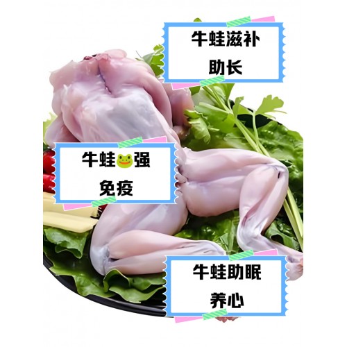 现杀 牛蛙肉 小（不去爪）