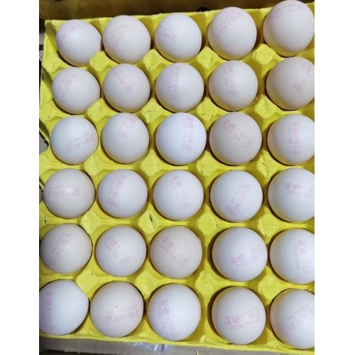 【苏罗兰】白壳红心蛋 大码净重45斤