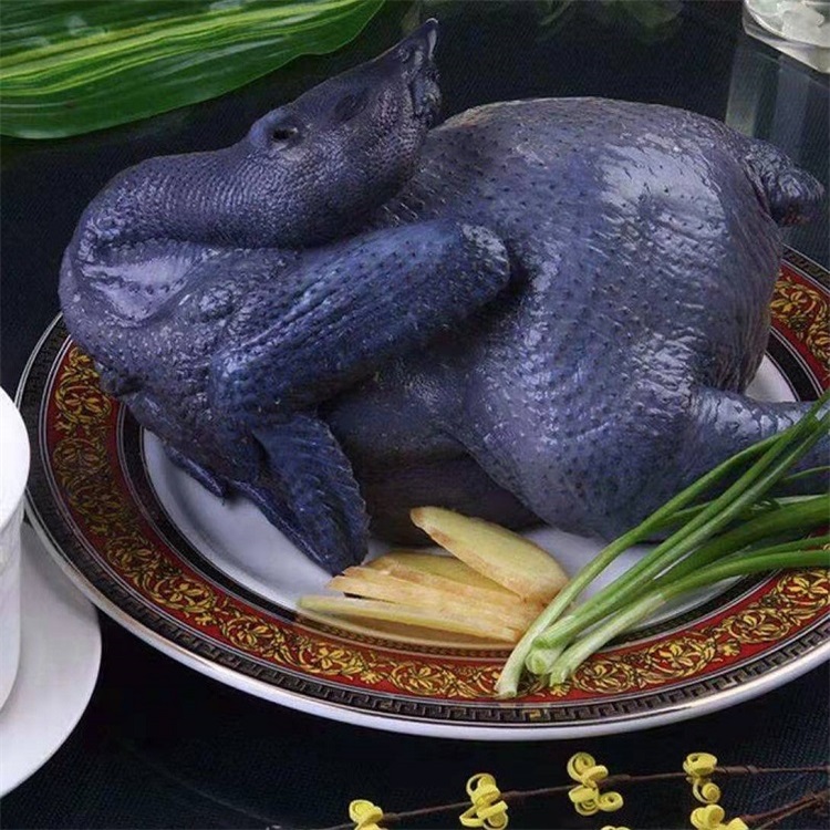 乌骨鸡3.jpg